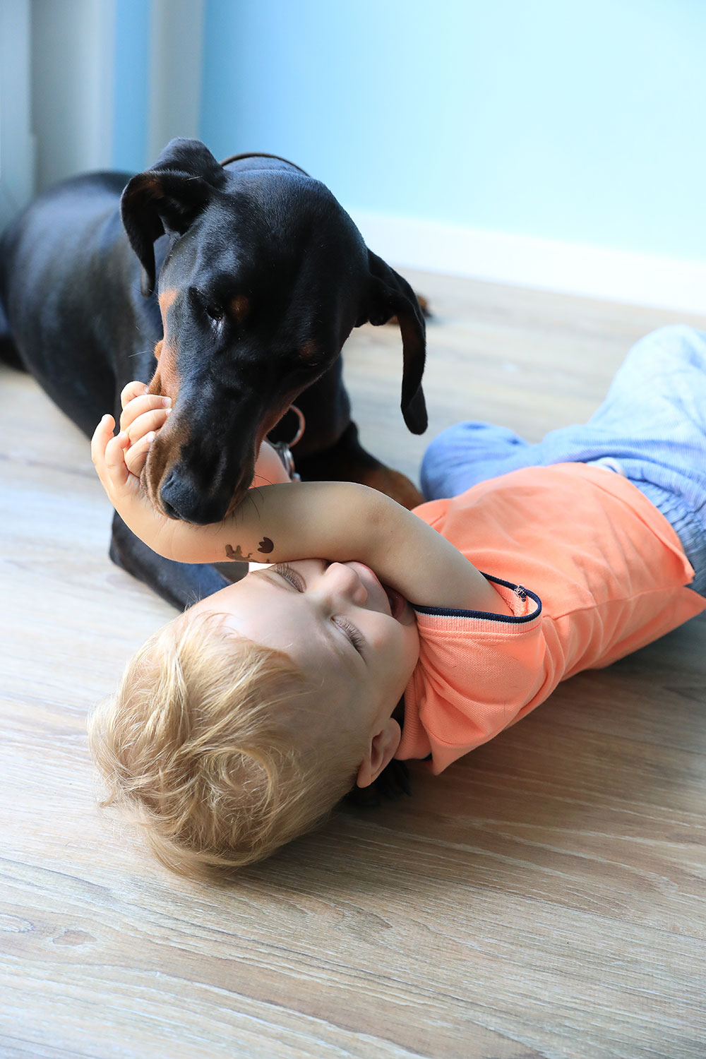 Fotoshooting mit Hund Bochum, Kind Familie drin Zuhause, Fotograf Sarah Jabs Fotoshooting mit Hund Bochum, Kind Familie drin Zuhause, Fotograf Sarah Jabs